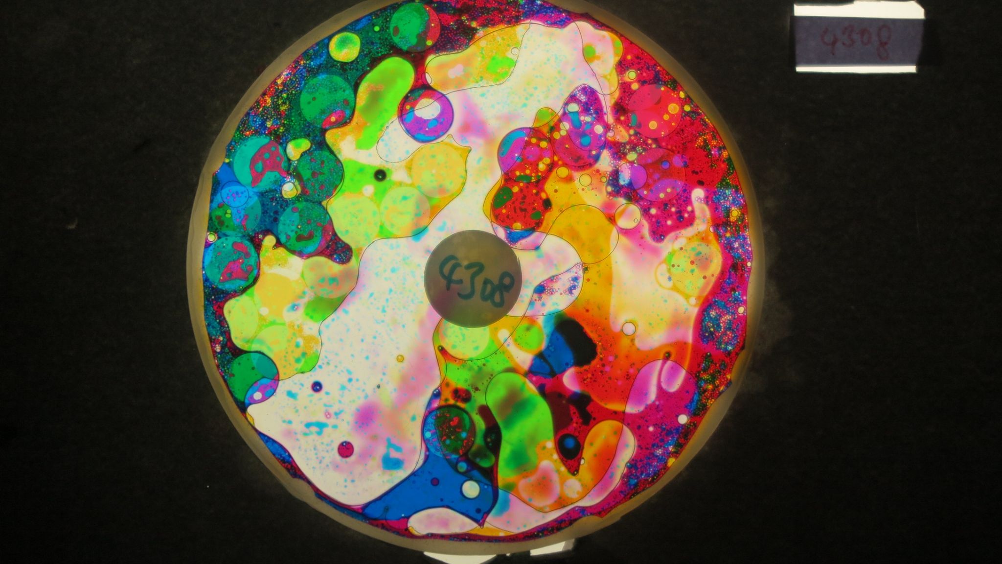 BV4308 bubble vision oil wheel